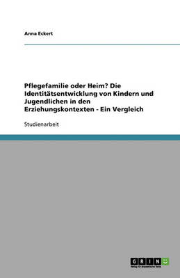Pflegefamilie Oder Heim? Die Identit tsentwicklung Von Kindern Und Jugendlichen in Den Erziehungskontexten - Ein Vergleich