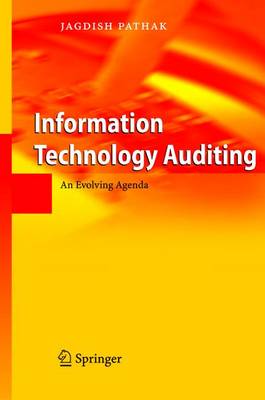 Information Technology Auditing