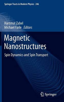 Magnetic Nanostructures