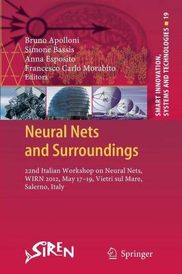 Neural Nets and Surroundings