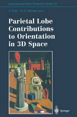 Parietal Lobe Contributions to Orientation in 3D Space