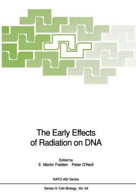 The Early Effects of Radiation on DNA