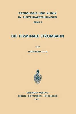 Die Terminale Strombahn
