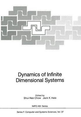 Dynamics of Infinite Dimensional Systems