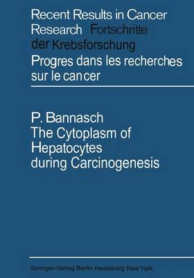 The Cytoplasm of Hepatocytes during Carcinogenesis