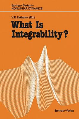 What Is Integrability?