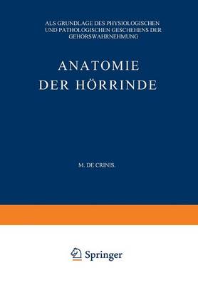 Anatomie der Hörrinde