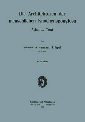 Die Architekturen der menschlichen Knochenspongiosa