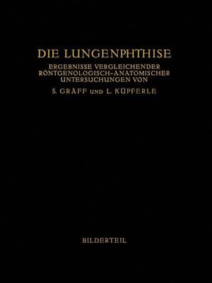 Die Lungenphthise