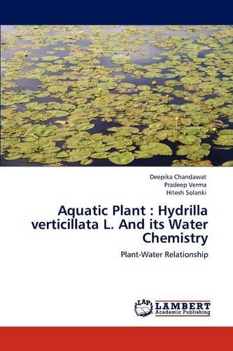 Aquatic Plant