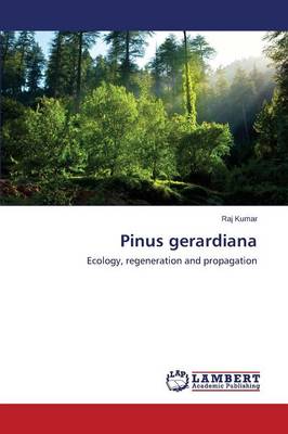 Pinus Gerardiana