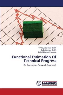 Functional Estimation of Technical Progress
