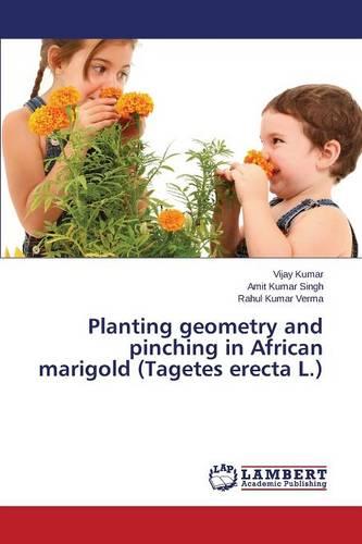 Planting Geometry and Pinching in African Marigold (Tagetes Erecta L.)