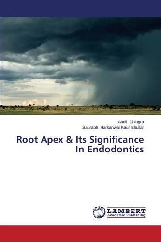 Root Apex & Its Significance in Endodontics