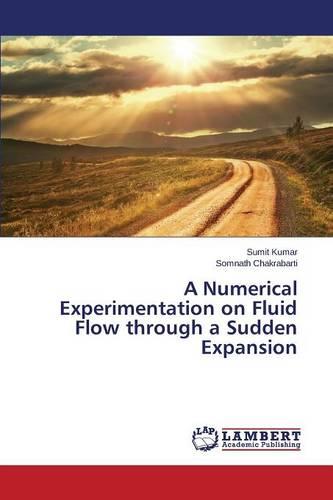 A Numerical Experimentation on Fluid Flow Through a Sudden Expansion