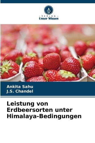 Leistung von Erdbeersorten unter Himalaya-Bedingungen