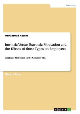 Intrinsic Versus Extrinsic Motivation and the Effects of Those Types on Employees