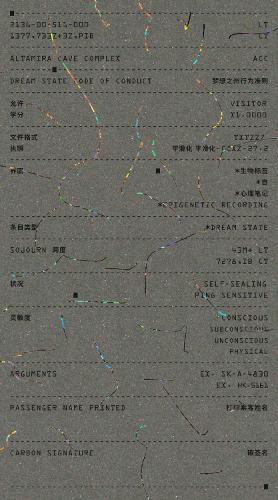 Dream State Code of Conduct ( Middle Income Level)