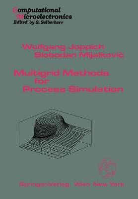 Multigrid Methods for Process Simulation