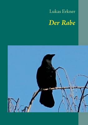 Der Rabe