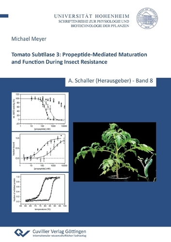 Tomato Subtilase 3