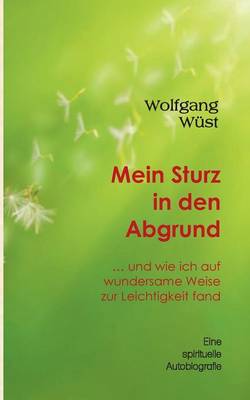 Mein Sturz in den Abgrund