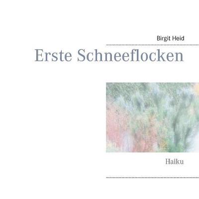 Erste Schneeflocken