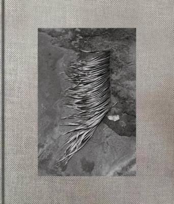 Viviane Sassen