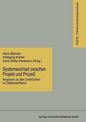 Systemwechsel zwischen Projekt und Prozeß