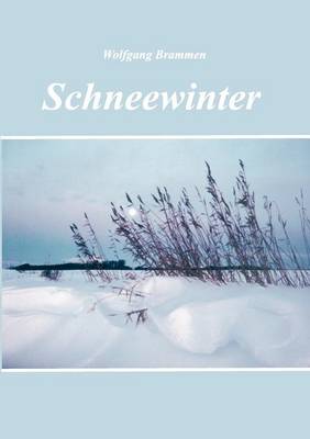 Schneewinter