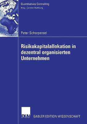 Risikokapitalallokation in dezentral organisierten Unternehmen