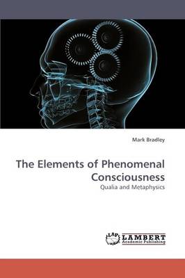 The Elements of Phenomenal Consciousness