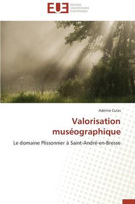 Valorisation Mus�ographique