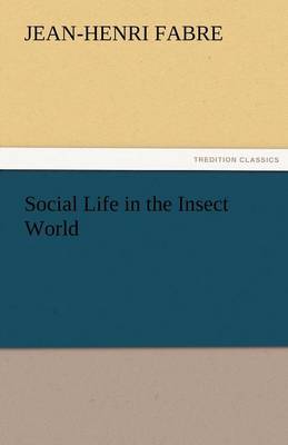 Social Life in the Insect World