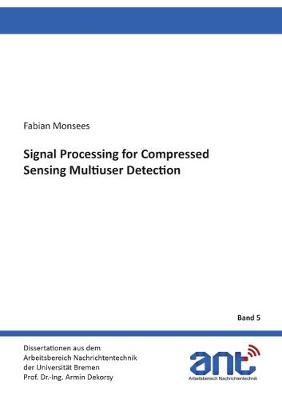 Signal Processing for Compressed Sensing Multiuser Detection