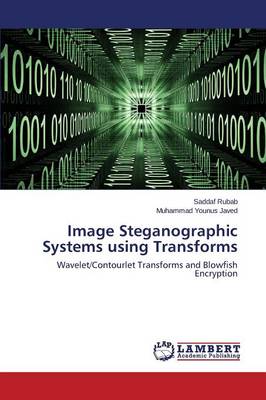 Image Steganographic Systems Using Transforms