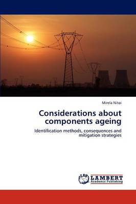 Considerations about Components Ageing
