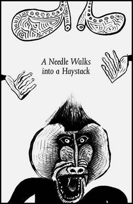 A Needle Walks into a Haystack. Liverpool Biennial 2014