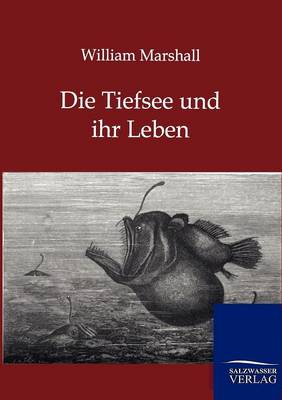 Die Tiefsee und ihr Leben