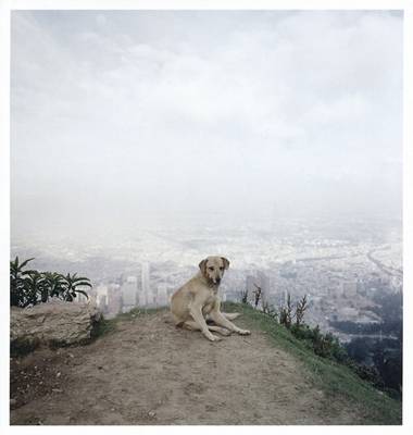 Alec Soth: Dog Days, Bogota