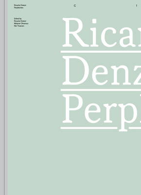 Ricarda Denzer - Perplexities