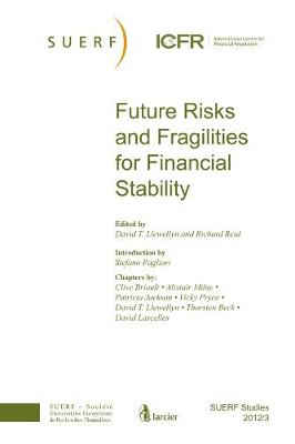 Future Risks and Fragilities for Financial Stability