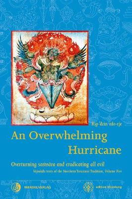 An Overwhelming Hurricane 2020