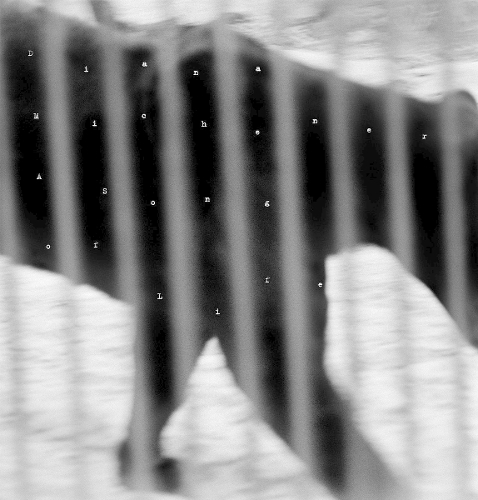 Diana Michener: Song of Life