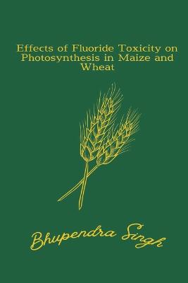 Effects of Fluoride Toxicity on Photosynthesis in Maize and Wheat
