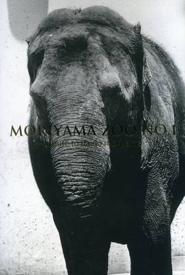 Daido Moriyama