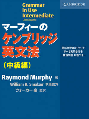 Grammar in Use Intermediate: Intermediate