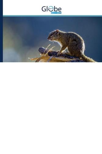 Red Teaming, Speltheorie, Panpsychisme en Quantal Perceptie