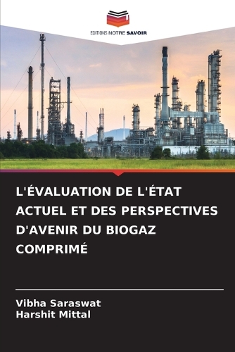 L'Évaluation de l'État Actuel Et Des Perspectives d'Avenir Du Biogaz Comprimé