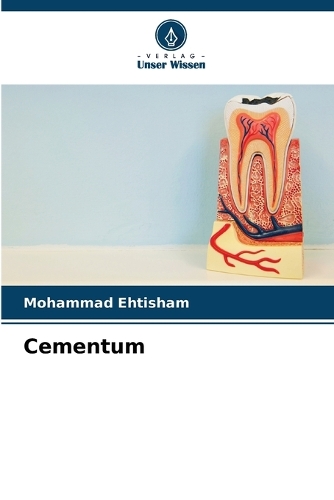 Cementum